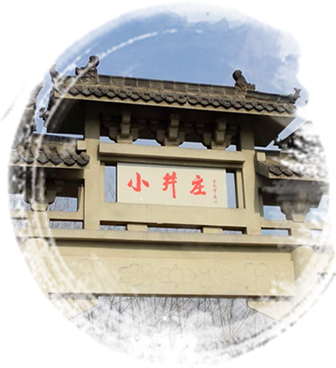 华体会app官方下载